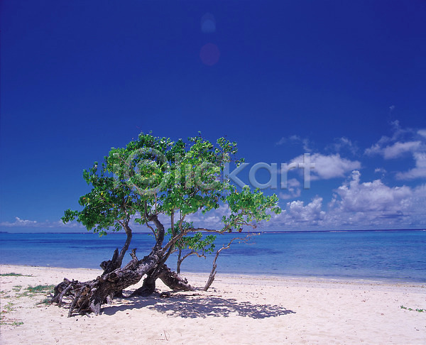 사람없음 JPG 포토 계절 구름(자연) 그늘 그림자 나무 모래사장 바다 사계절 식물 야외 여름(계절) 자연 주간 풍경(경치) 하늘 해변