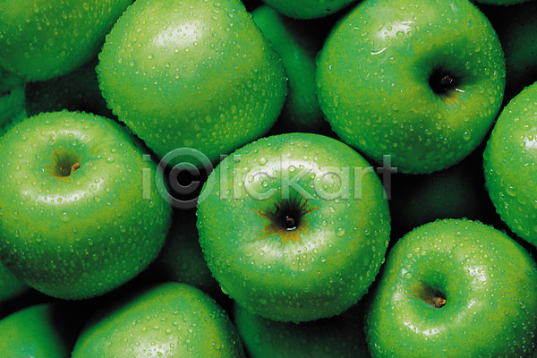 사람없음 JPG 포토 계절 과일 물방울 백그라운드 사과(과일) 식물 아오리 여러개 여름(계절) 연두색 웰빙 청사과 초록색 컬러