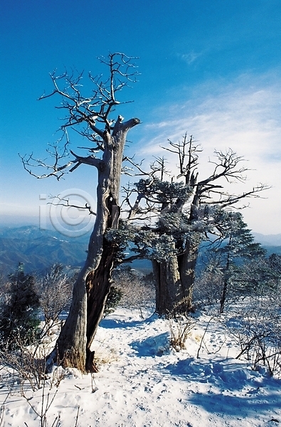 사람없음 JPG 포토 겨울 겨울산 계절 구름(자연) 그림자 나무 눈(날씨) 눈꽃 산 설경 식물 야외 자연 정상 주간 풍경(경치) 하늘