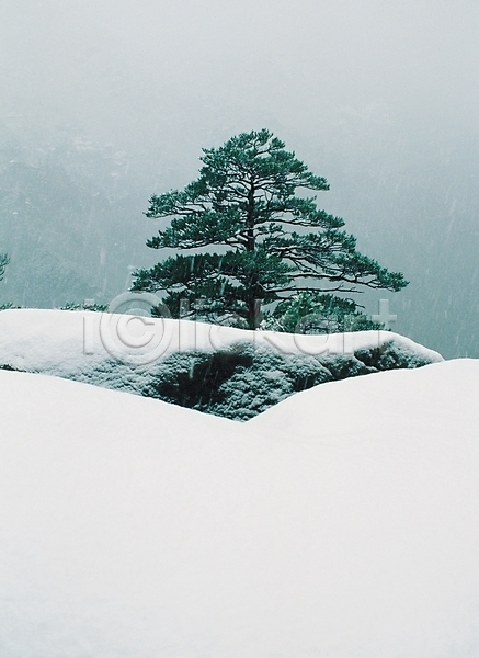 사람없음 JPG 포토 겨울 겨울산 계절 나무 날씨 눈(날씨) 눈내림 돌(바위) 바위(돌) 산 설경 소나무 식물 쌓기 야외 자연 자연현상 주간 풍경(경치)