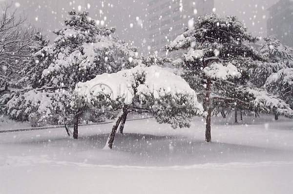사람없음 JPG 포토 건물 겨울 계절 공원 나무 날씨 눈(날씨) 눈내림 대설 도시풍경 빌딩 설경 식물 쌓기 야외 자연 자연현상 주간 풍경(경치)