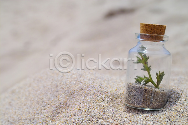 사람없음 JPG 포토 모래 모래사장 백그라운드 병(담는) 야외 여름(계절) 오브젝트 웰빙 유리병 자연 장식 주간 풍경(경치) 해변