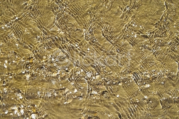사람없음 JPG 포토 갯벌 껍질 모래 물 바다 백그라운드 섬 야외 자연 제부도 조개 조약돌 주간 풍경(경치) 해변