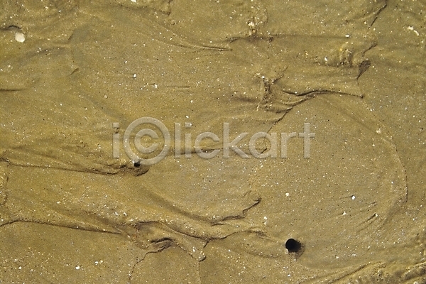 사람없음 JPG 포토 갯벌 모래 바다 배경화면 백그라운드 섬 야외 자연 제부도 주간 풍경(경치) 해변