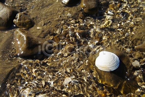 사람없음 JPG 포토 갯벌 모래 바다 백그라운드 섬 야외 자연 제부도 조개 조약돌 주간 풍경(경치) 해변