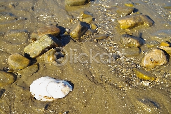 사람없음 JPG 포토 갯벌 껍질 돌(바위) 바다 배경화면 백그라운드 섬 야외 자연 제부도 조개 조개껍데기 조약돌 주간 풍경(경치) 해변