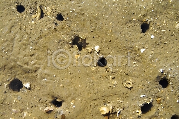 사람없음 JPG 포토 갯벌 게 구멍 모래 바다 배경화면 백그라운드 섬 야외 자연 제부도 조약돌 주간 풍경(경치) 해변