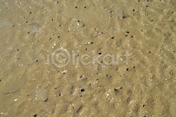 사람없음 JPG 포토 갯벌 게 구멍 모래 바다 백그라운드 섬 야외 자연 제부도 조약돌 주간 풍경(경치) 해변