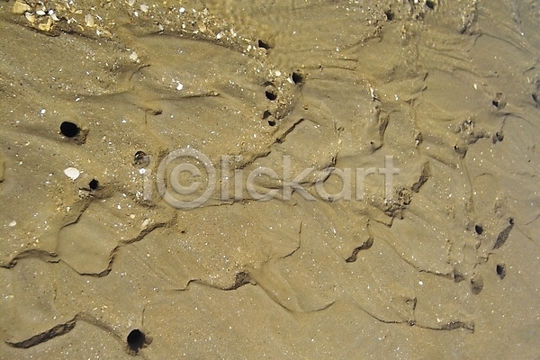 사람없음 JPG 포토 갯벌 게 구멍 모래 바다 백그라운드 섬 야외 자연 제부도 조약돌 주간 풍경(경치) 해변