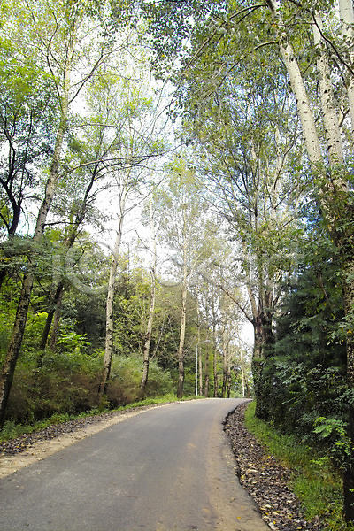사람없음 JPG 포토 건축 길 나무 도로 백그라운드 산책로 숲 시설물 식물 야외 자연 주간 풍경(경치) 현대건축