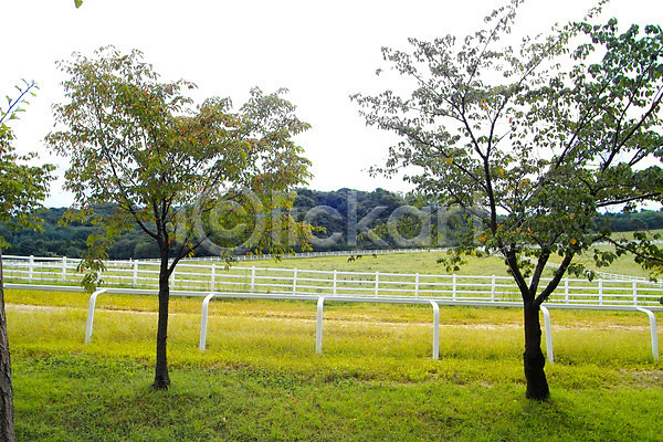사람없음 JPG 포토 나무 백그라운드 식물 야외 울타리 잔디 주간 초원(자연) 풀(식물) 풍경(경치) 하늘
