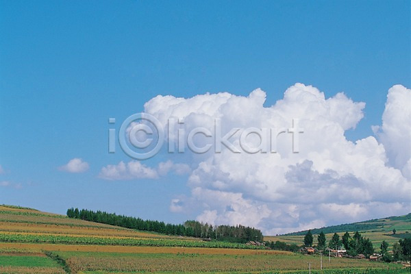 사람없음 JPG 포토 곡류 구름(자연) 밭 백그라운드 야외 자연 주간 초원(자연) 풍경(경치) 하늘