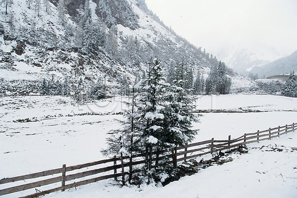 사람없음 JPG 포토 건축부분 겨울 계절 나무 눈(날씨) 백그라운드 사계절 산 설경 식물 야외 울타리 자연 자연현상 주간 풍경(경치) 흰색