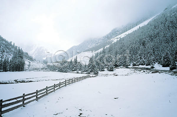 사람없음 JPG 포토 건축 건축부분 겨울 계절 나무 눈(날씨) 대설 배경화면 백그라운드 사계절 산 설경 식물 야외 울타리 자연 주간 풍경(경치)