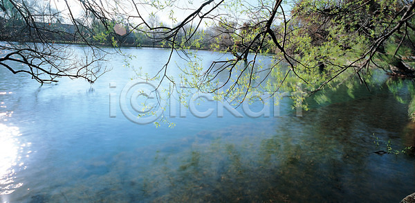 사람없음 JPG 포토 강 나무 백그라운드 산 식물 야외 자연 주간 풍경(경치)