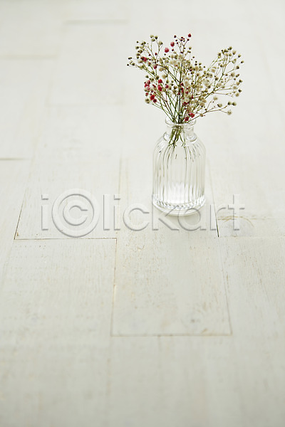 사람없음 JPG 포토 꽃 꽃병 백그라운드 스튜디오촬영 식물 실내 안개꽃 유리병