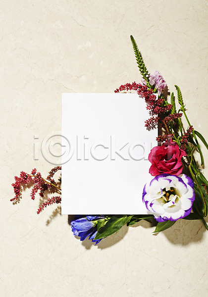 사람없음 JPG 포토 꽃 노루오줌 리시안셔스 백그라운드 스튜디오촬영 식물 실내 잎 종이 카드(감사) 프레임