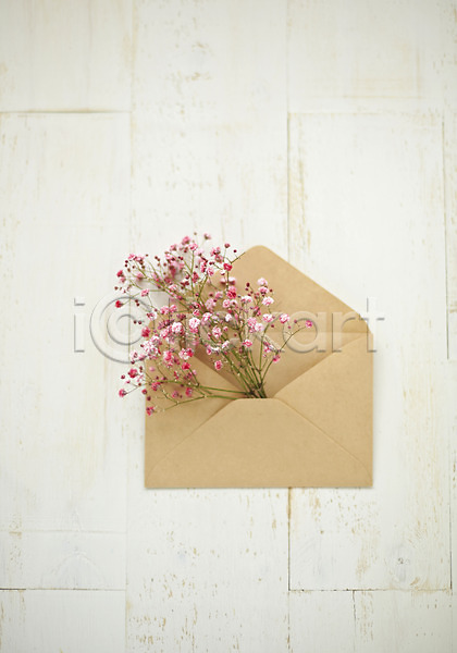 사람없음 JPG 포토 꽃 배경화면 백그라운드 봉투 스튜디오촬영 식물 실내 안개꽃 편지봉투