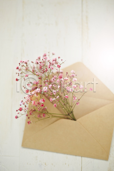 사람없음 JPG 포토 꽃 백그라운드 봉투 스튜디오촬영 식물 실내 안개꽃 편지봉투