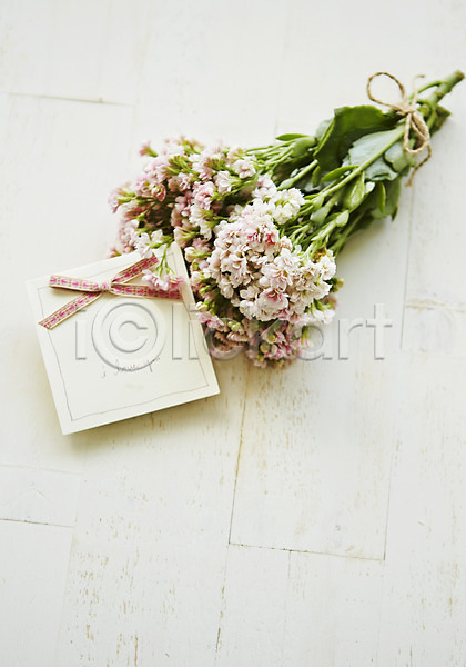 사람없음 JPG 포토 꽃 꽃다발 배경화면 백그라운드 스튜디오촬영 식물 실내 잎 카드(감사) 카랑코에