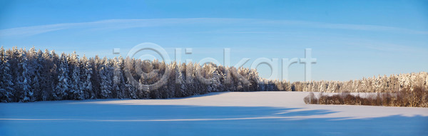 추위 사람없음 JPG 포토 해외이미지 1월 겨울 맑음 목재 밭 벨로루시 서리 숲 파노라마 파란색 풍경(경치) 하늘 해외202004 흰색