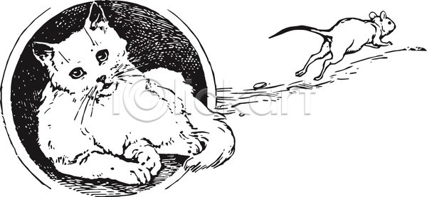 탈출 사람없음 EPS 일러스트 해외이미지 검은색 고양이 그림 놓침 달리기 두마리 라인아트 쥐 판화 해외202004