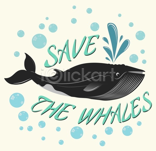 사람없음 EPS 일러스트 해외이미지 고래 물방울 물뿜기 타이포그라피 한마리 해외202004