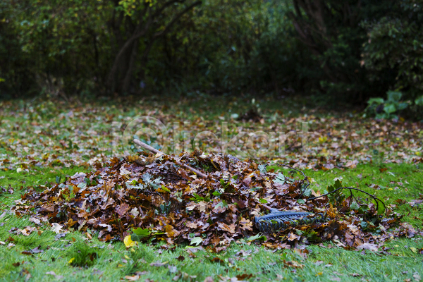 사람없음 JPG 포토 해외이미지 가을(계절) 갈퀴 단풍 덴마크 원예 잎 자연 장비 정원 해외202004 흙더미