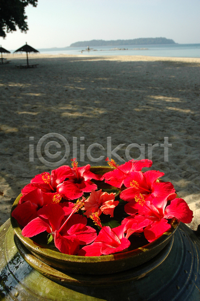 사람없음 JPG 포토 해외이미지 그릇 모래사장 빨간색 야외 여름(계절) 자연 하늘 해외202004 히비스커스