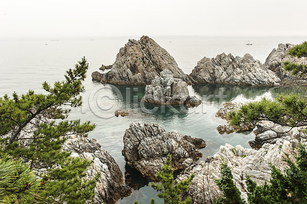 사람없음 JPG 포토 강원도 동해 바다 바위(돌) 소나무 야외 주간 풍경(경치) 한국
