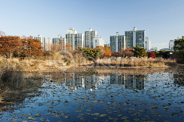 사람없음 JPG 포토 가을(계절) 단풍나무 반사 아파트 야외 연잎 주간 풍경(경치) 한국 호수 호수공원