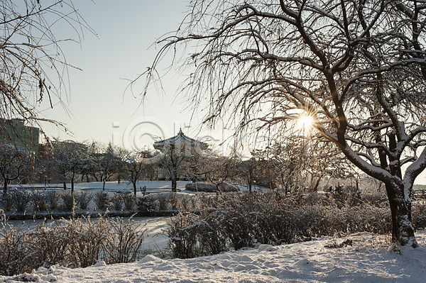 사람없음 JPG 포토 겨울 겨울풍경 나무 눈(날씨) 앙상함 야외 주간 풍경(경치) 한국 햇빛 호수공원