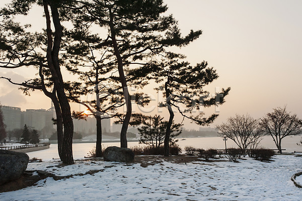 사람없음 JPG 포토 겨울 겨울풍경 나무 눈(날씨) 야외 일몰 주간 풍경(경치) 한국 호수공원