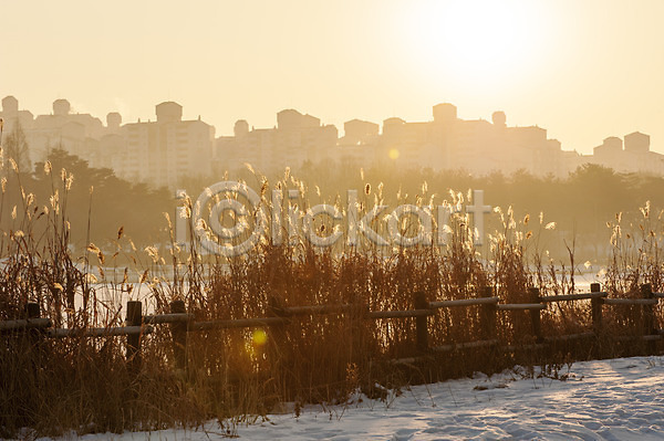 사람없음 JPG 포토 갈대(식물) 겨울 겨울풍경 눈(날씨) 아파트 야외 억새 일몰 주간 풍경(경치) 한국 호수공원