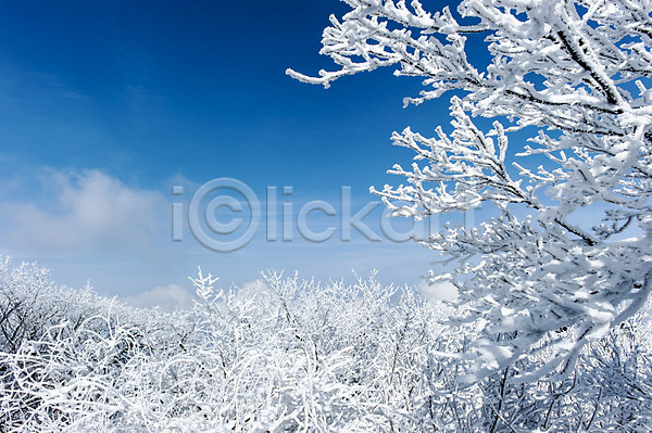 사람없음 JPG 포토 겨울 겨울풍경 나뭇가지 눈(날씨) 덕유산 무주 설경 앙상함 야외 주간 풍경(경치) 하늘 한국 향적봉