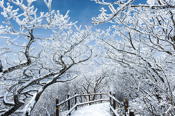 사람없음 JPG 포토 겨울풍경 나뭇가지 눈(날씨) 다리(건축물) 덕유산 무주 설경 앙상함 야외 주간 풍경(경치) 한국 향적봉