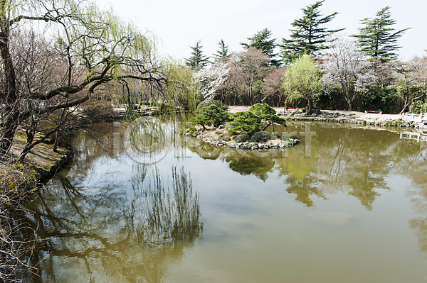 사람없음 JPG 포토 나무 반사 봄 야외 연못 주간 풍경(경치) 한국