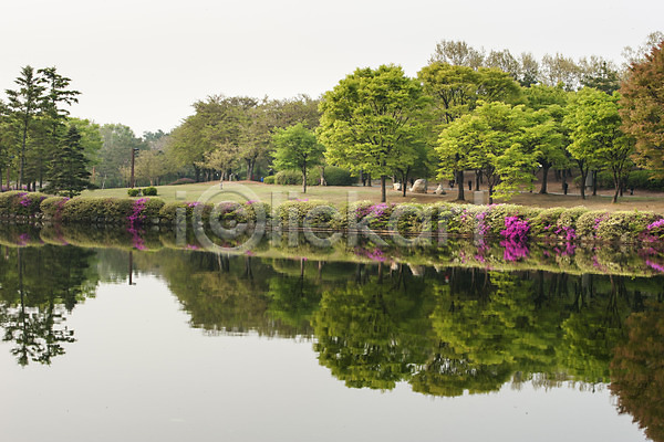 사람없음 JPG 포토 공원 나무 반사 봄 야외 주간 풍경(경치) 한국 호수 호수공원