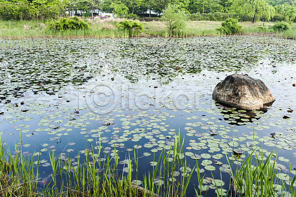 사람없음 JPG 포토 바위(돌) 봄 야외 연못 연잎 주간 풀(식물) 풍경(경치) 한국 호수