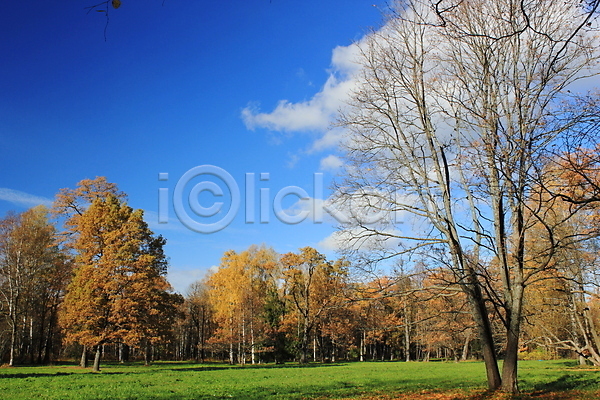 사람없음 JPG 포토 해외이미지 가을(계절) 공원 구름(자연) 나무 나뭇가지 해외202004