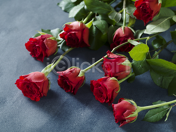 사람없음 JPG 포토 하이앵글 해외이미지 발렌타인데이 빨간색 오브젝트 장미