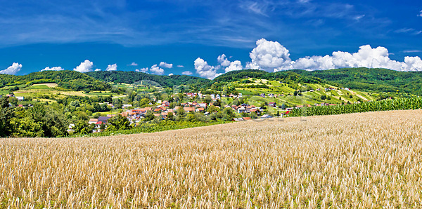 사람없음 JPG 포토 해외이미지 계곡 구름 길 나무 놀람 농경지 농업 농작물 농장 도로 땅 마을 밭 봄 숲 시골 시골집 시리얼 식물 안테나 야외 언덕 오두막 옥수수 자연 주택 초록색 컬러풀 크로아티아 파노라마 파란색 판잣집 포도밭 풍경 하늘 해외202004 해외포토 환경 황금