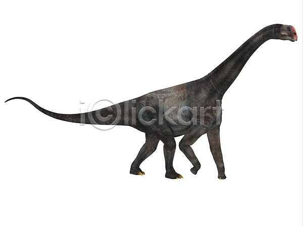 사람없음 3D JPG 포토 해외이미지 고생물 공룡 그림 도마뱀 동물 멸종 미국 생물 선사시대 원시시대 종류 척추동물 초식 초식동물 치아 파충류 해외202004