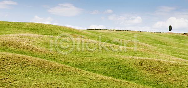 사람없음 JPG 포토 해외이미지 나무 농경지 농업 농장 밭 봄 시골 야외 언덕 여름 유럽 이탈리아 자연 초록색 토스카나 파노라마 파란색 포도밭 풍경 하늘 해외202004 해외포토