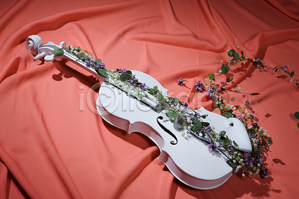 우아함 사람없음 JPG 포토 해외이미지 꽃 덩굴 바이올린 분홍색 천(직물) 해외202004