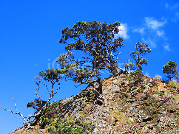 건조 새로움 사람없음 JPG 포토 해외이미지 구름(자연) 나무 내추럴 달 섬 언덕 자연 파란색 풍경(경치) 하늘 해외202004