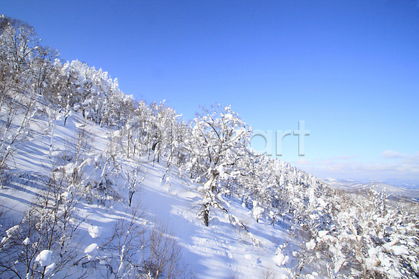추위 사람없음 JPG 포토 해외이미지 겨울 계절 그림자 눈송이 빛 얼음 일본 자연 파란색 하늘 해외202004 햇빛 휴가