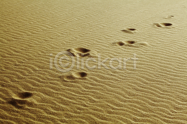 사람없음 JPG 포토 해외이미지 갈색 모래 발자국 사막 야외 주간 풍경(경치) 해외202004