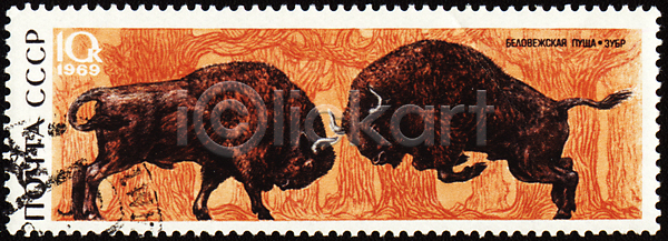 보호 사람없음 JPG 포토 해외이미지 갈색 그림 동물 동물상 들소 라벨 러시아 삼림지대 소비에트 수집 심볼 싸움 야생동물 에너지 우표 자연 지그재그 취소 투쟁 포유류 해외202004 해외포토 황소 흔적 힘