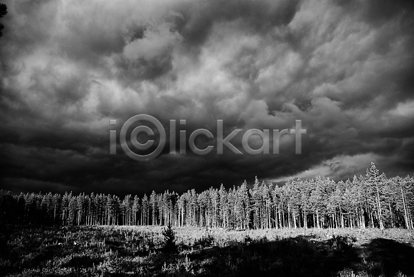사람없음 JPG 포토 해외이미지 흑백 구름(자연) 나무 목재 폭풍 해외202004
